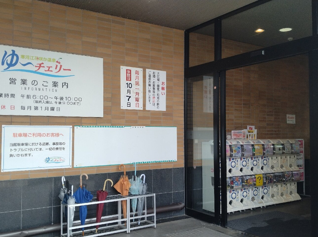 Sagae Hanasaki Onsen Yu Cherry-寒河江市必去景点