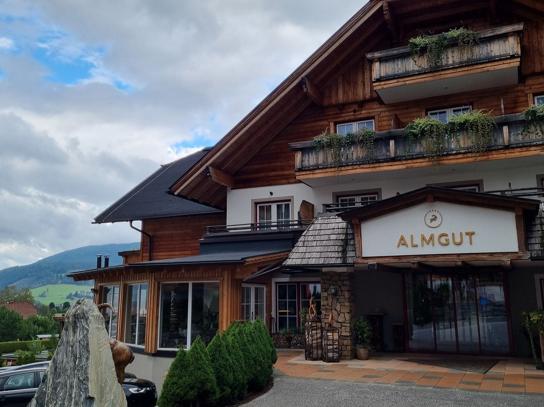 ALMGUT - Mountain Wellness Hotel主图