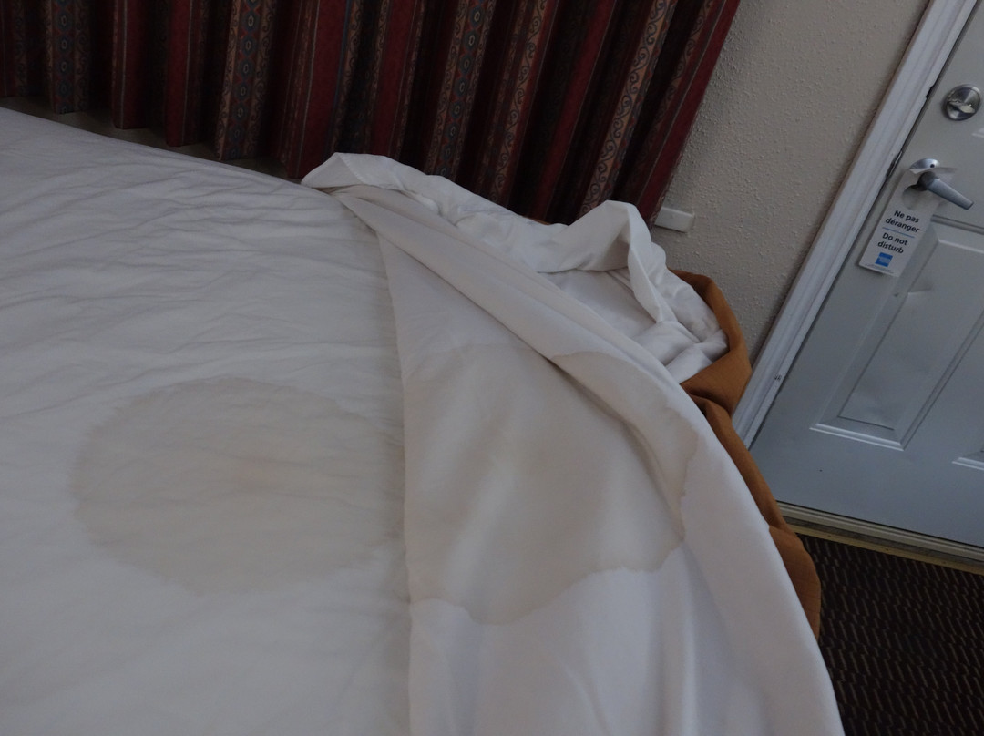 Motel 6 Campbellford主图