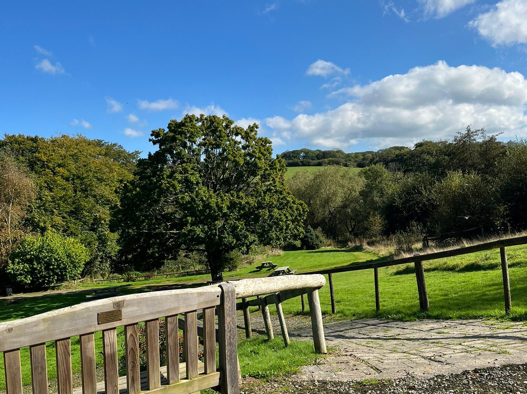 Willow Tree Café & Woodland Walk-North Petherwin必去景点