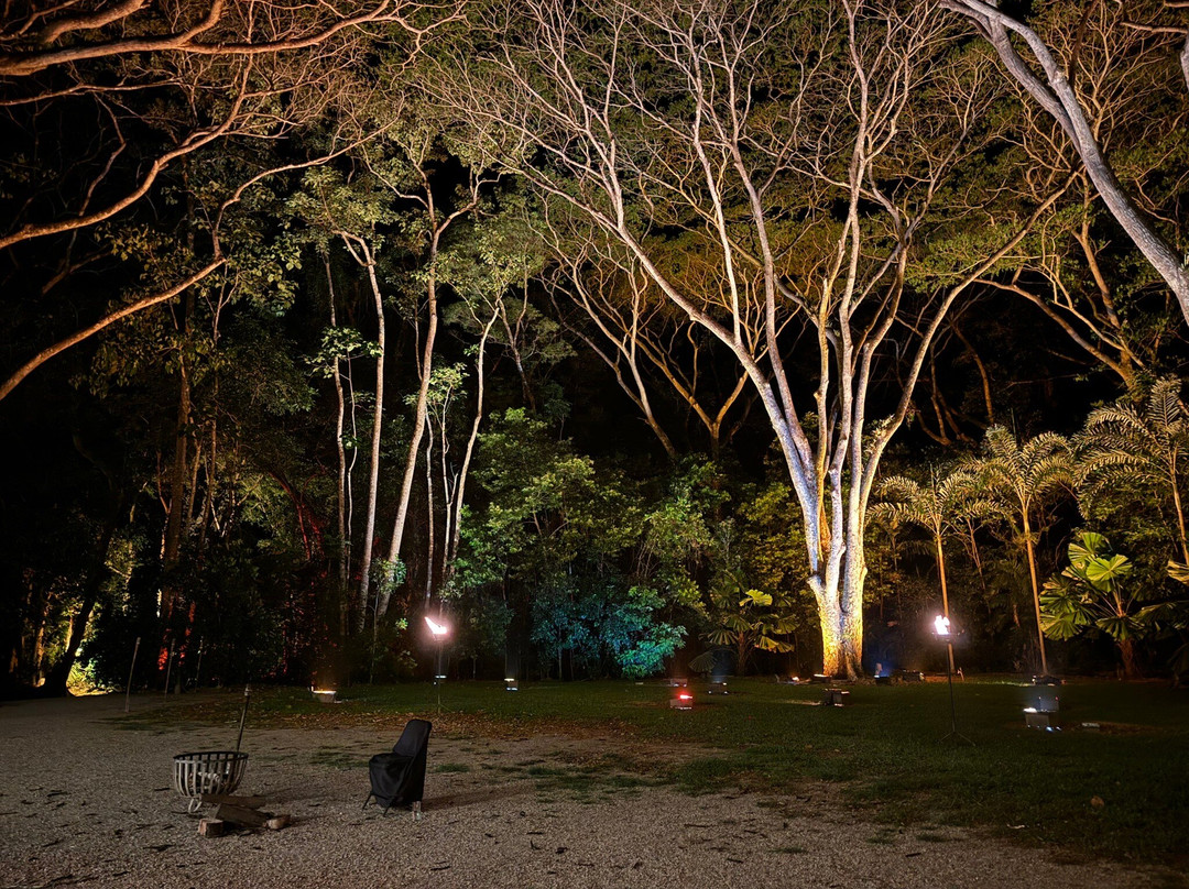 Flames of the Forest-道格拉斯港必去景点