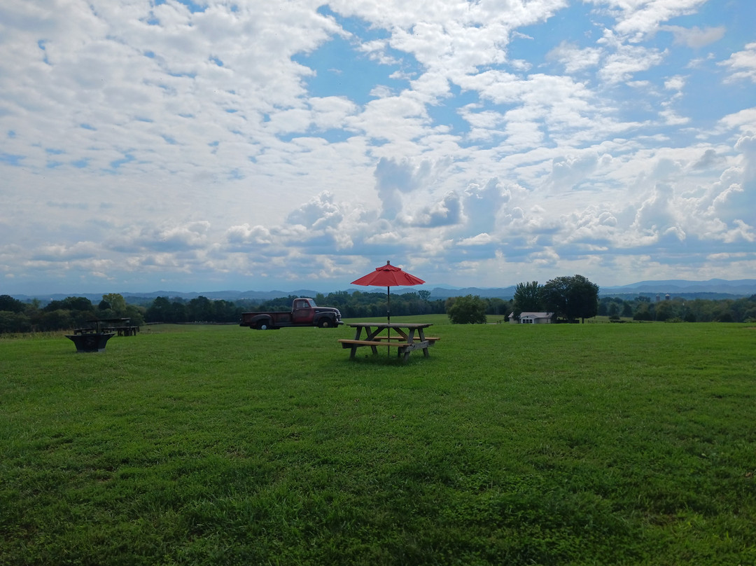 Tsali Notch Vineyard-Madisonville必去景点