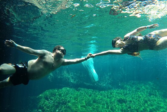 Akumal smile tours景点图片