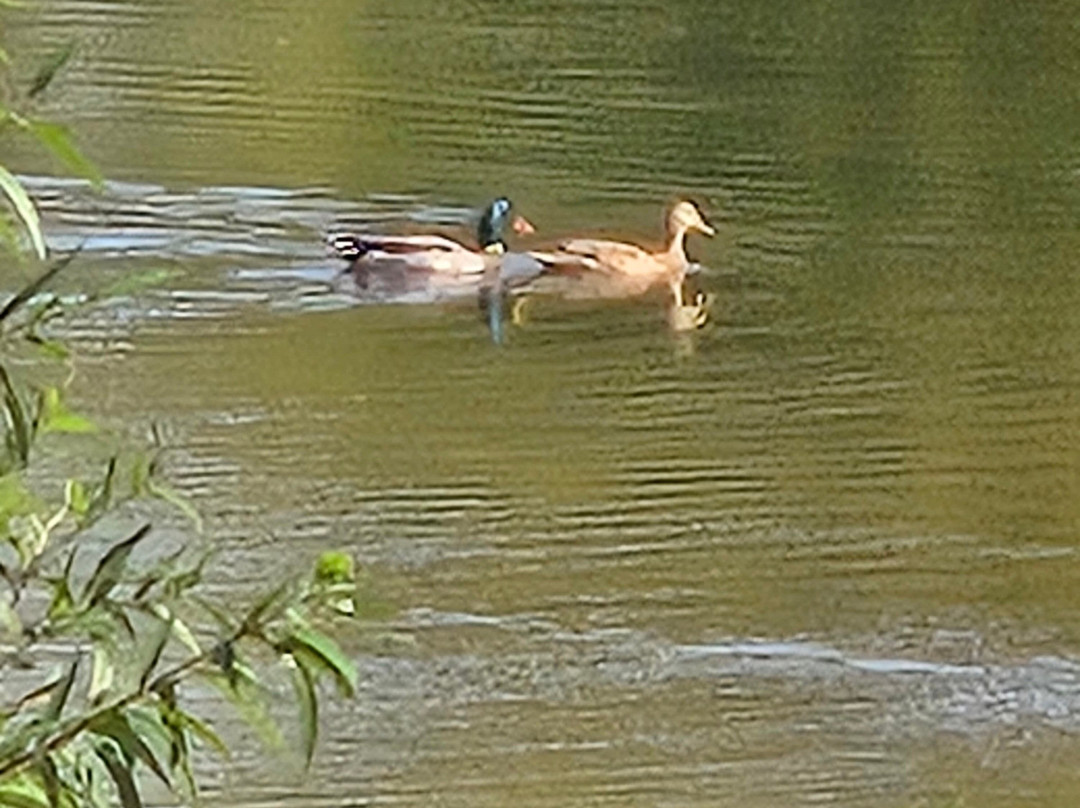Sodalis Nature Park-Plainfield必去景点