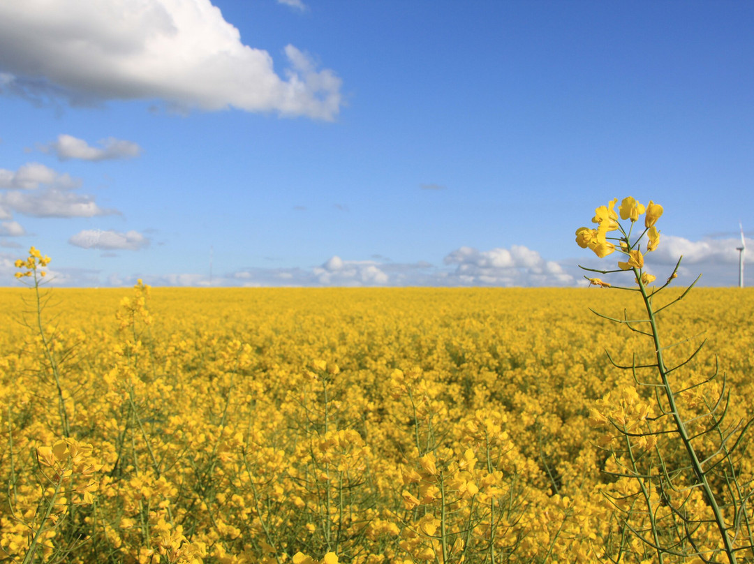 Land Gut Hotel Hermann主图