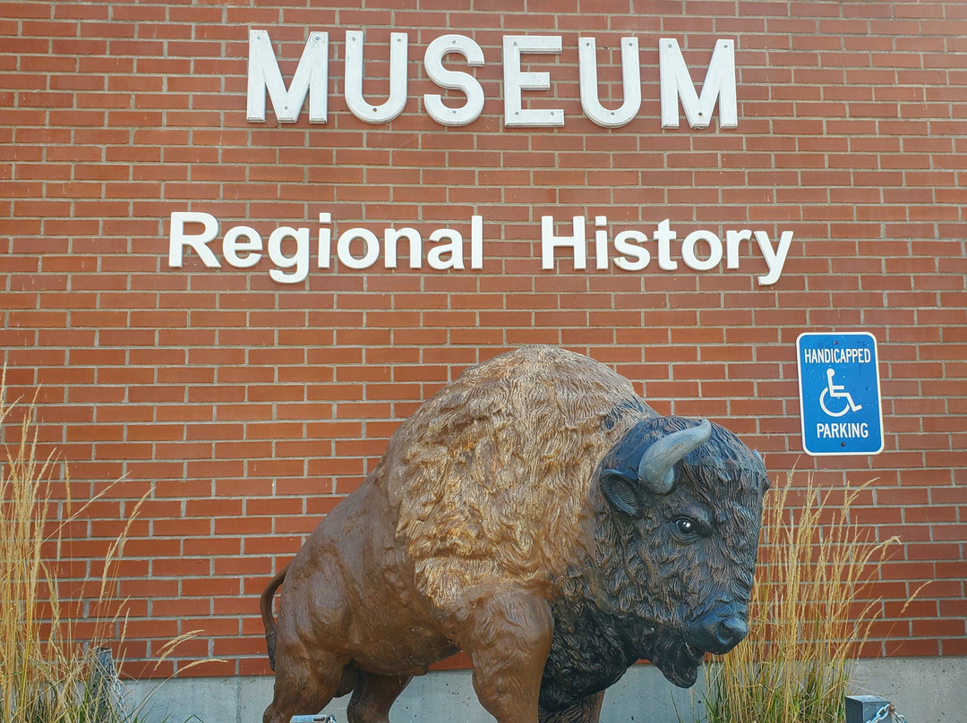Buffalo Bill Museum景点图片