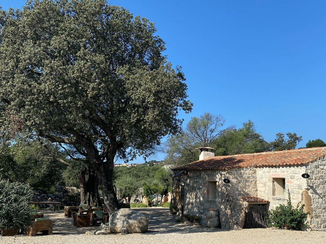 Gallicantu Stazzo Retreat主图