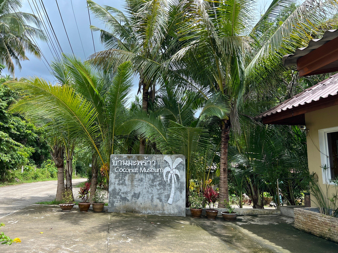 Coconut Museum-红统必去景点