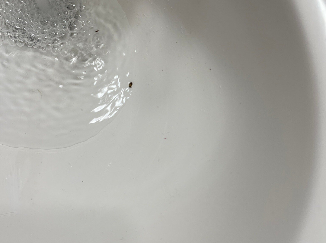 WoodSpring Suites Frederick主图