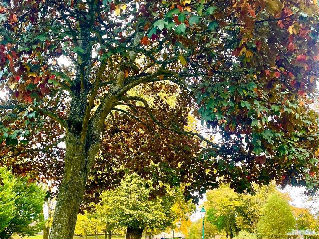 Haugh Park-库珀必去景点