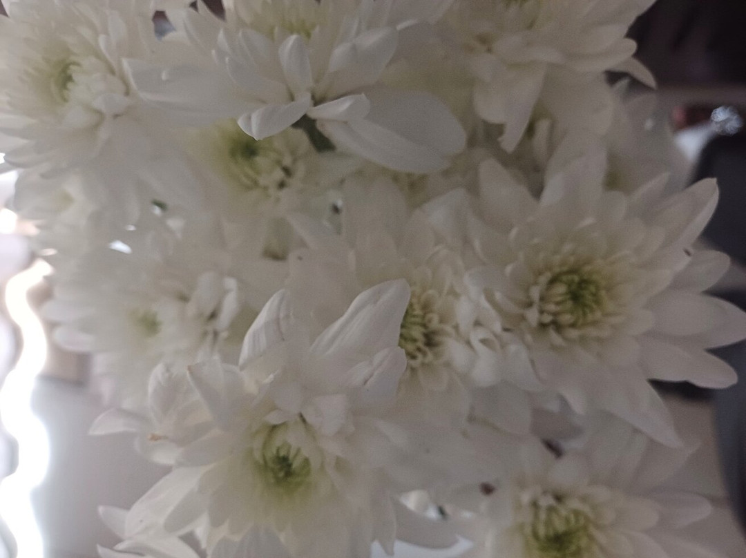 Matusadona Guest Lodge主图