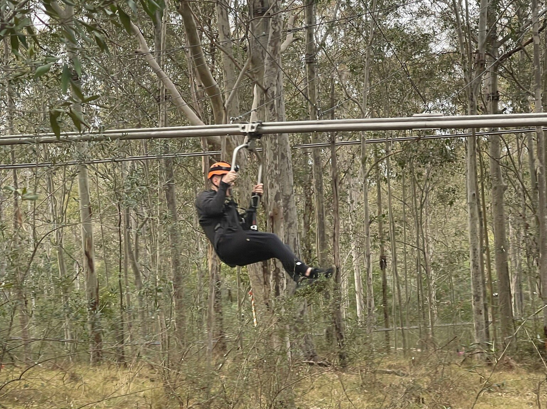 Treetops Adventure Western Sydney景点图片