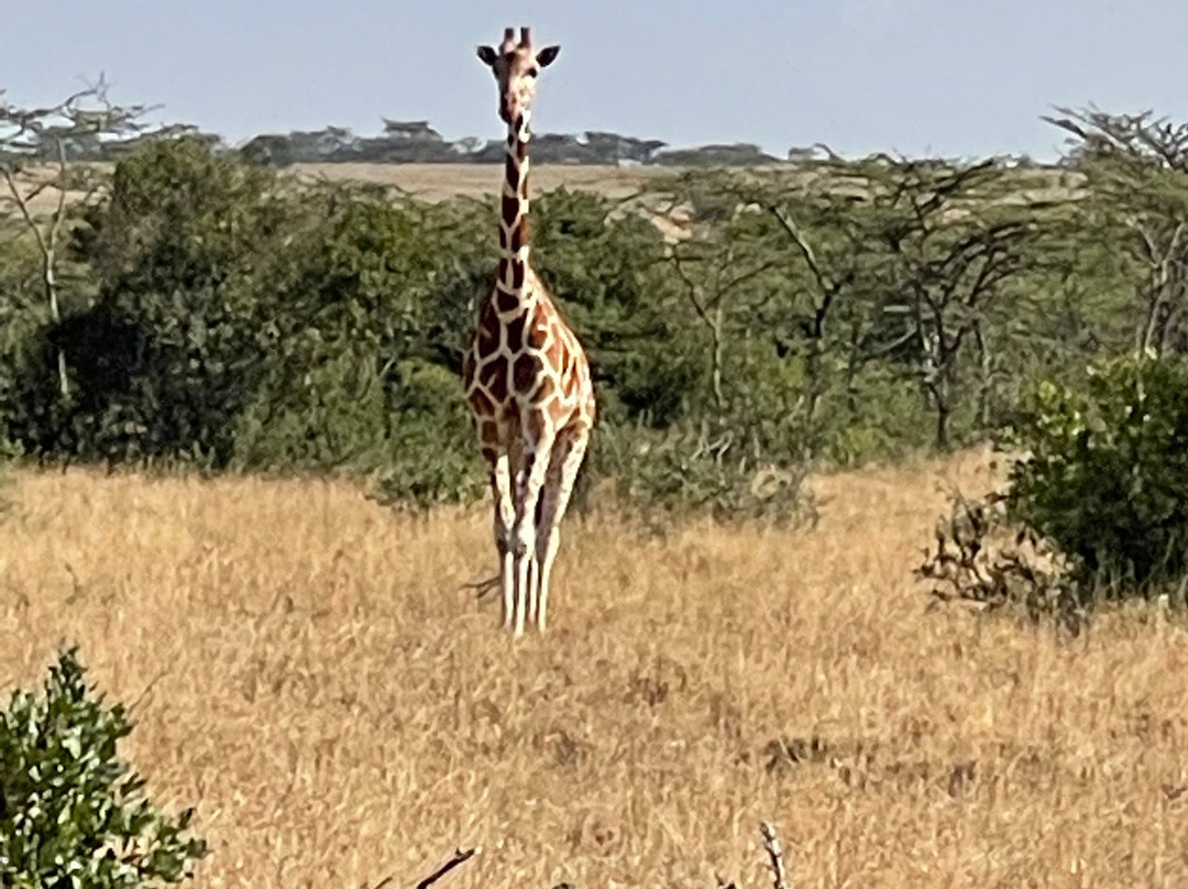Bona Fide Ethiopia Tours-巴哈尔达尔必去景点