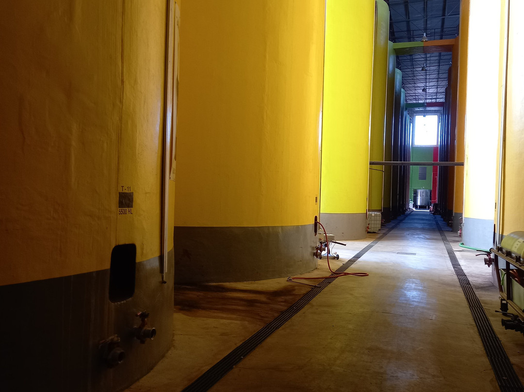 Bodegas San Isidro - B.S.I-Jumilla必去景点