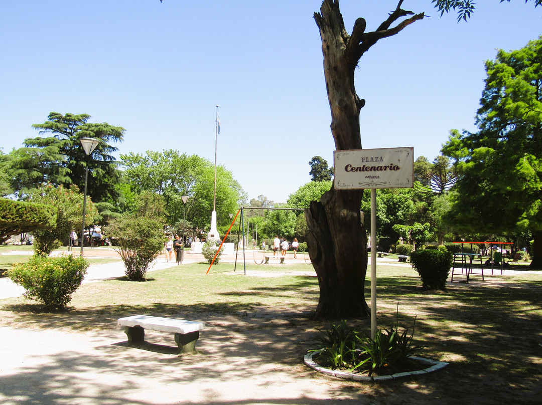 Plaza Centenario景点图片
