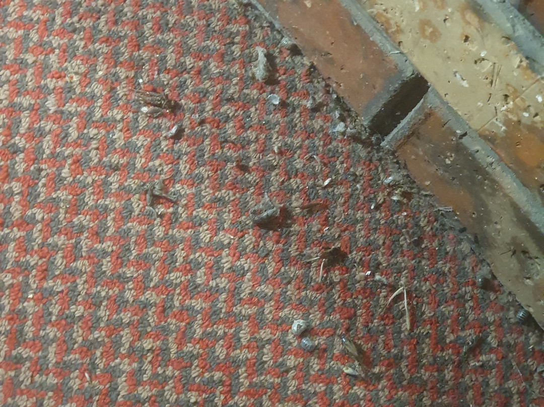 Kerang Valley Resort主图