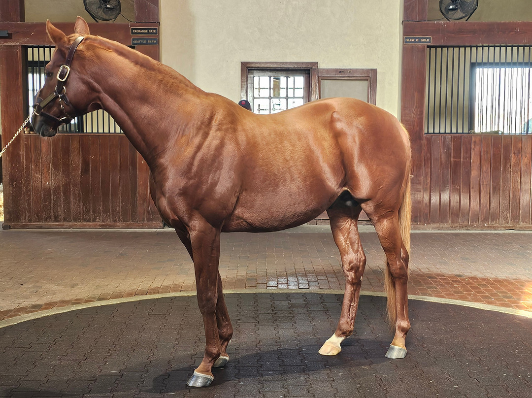 Three Chimneys Farm-Versailles必去景点