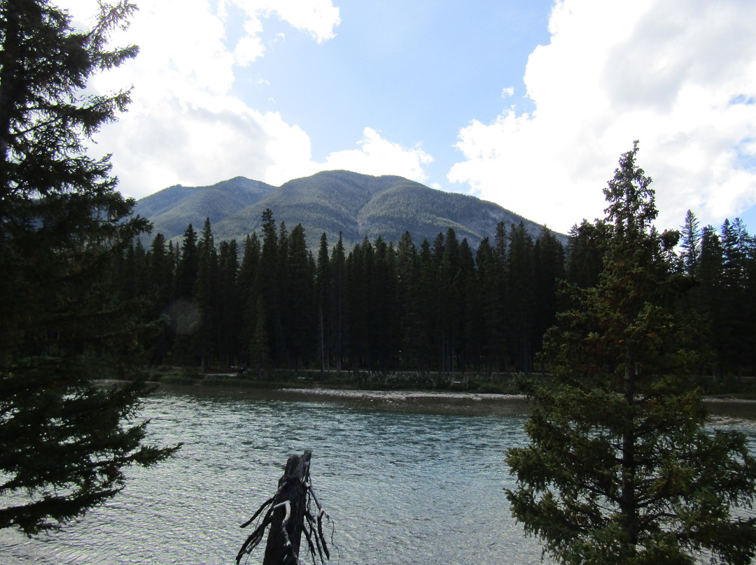 Bow River Trail-班夫必去景点