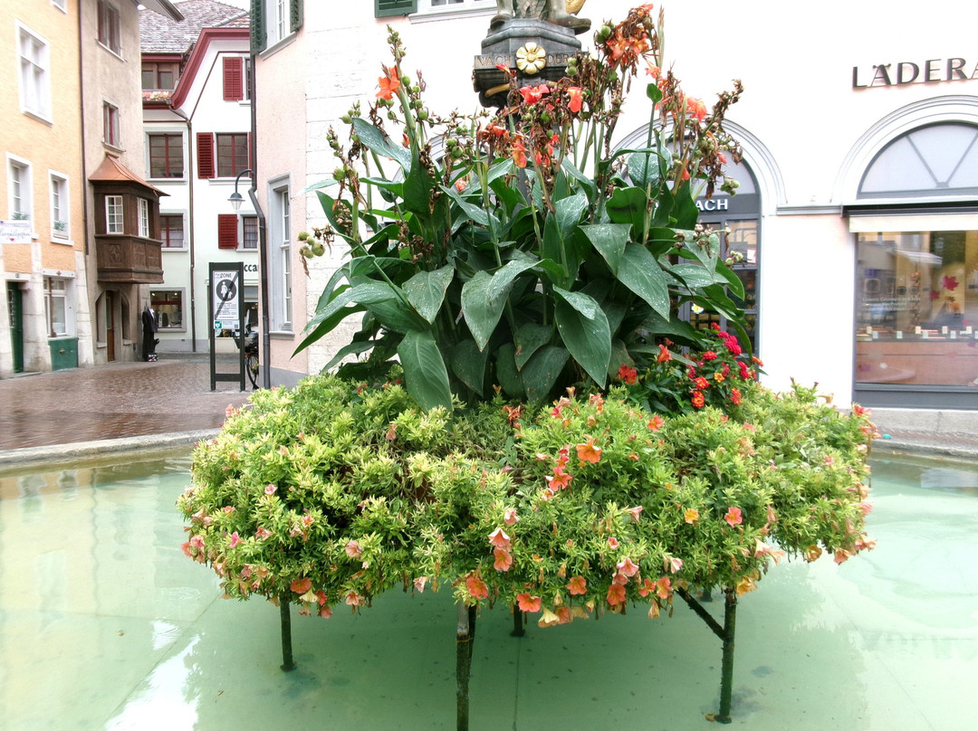 Tellbrunnen-沙夫豪森必去景点