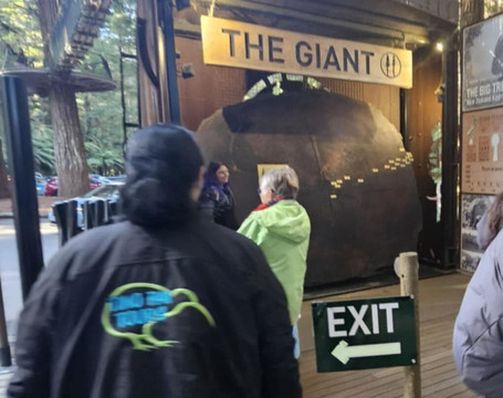 Tino Pai Tours-汉密尔顿必去景点