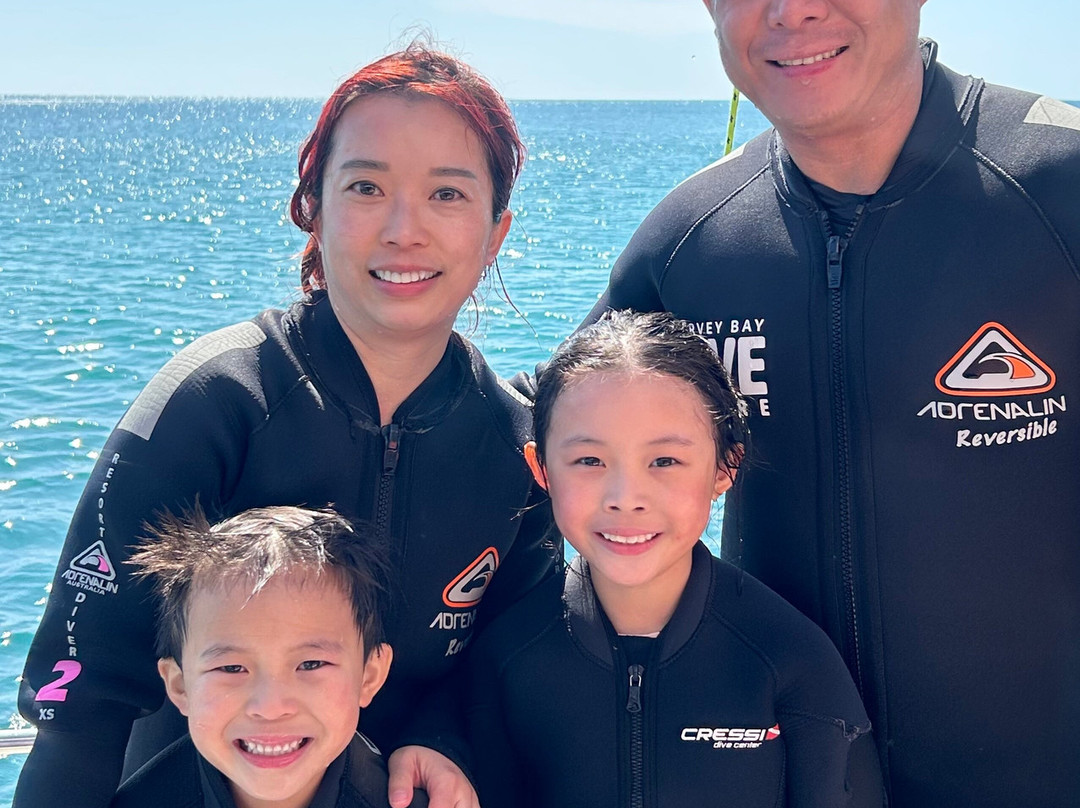 Hervey Bay Dive Centre景点图片