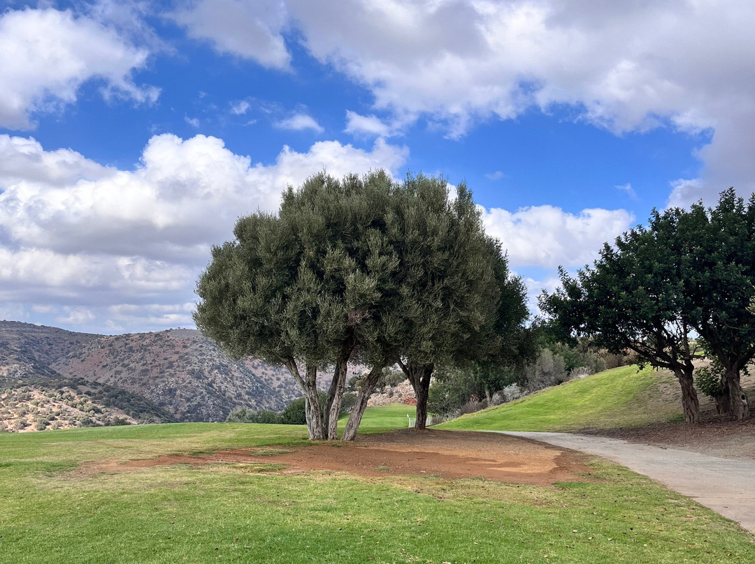 The Crete Golf Club景点图片