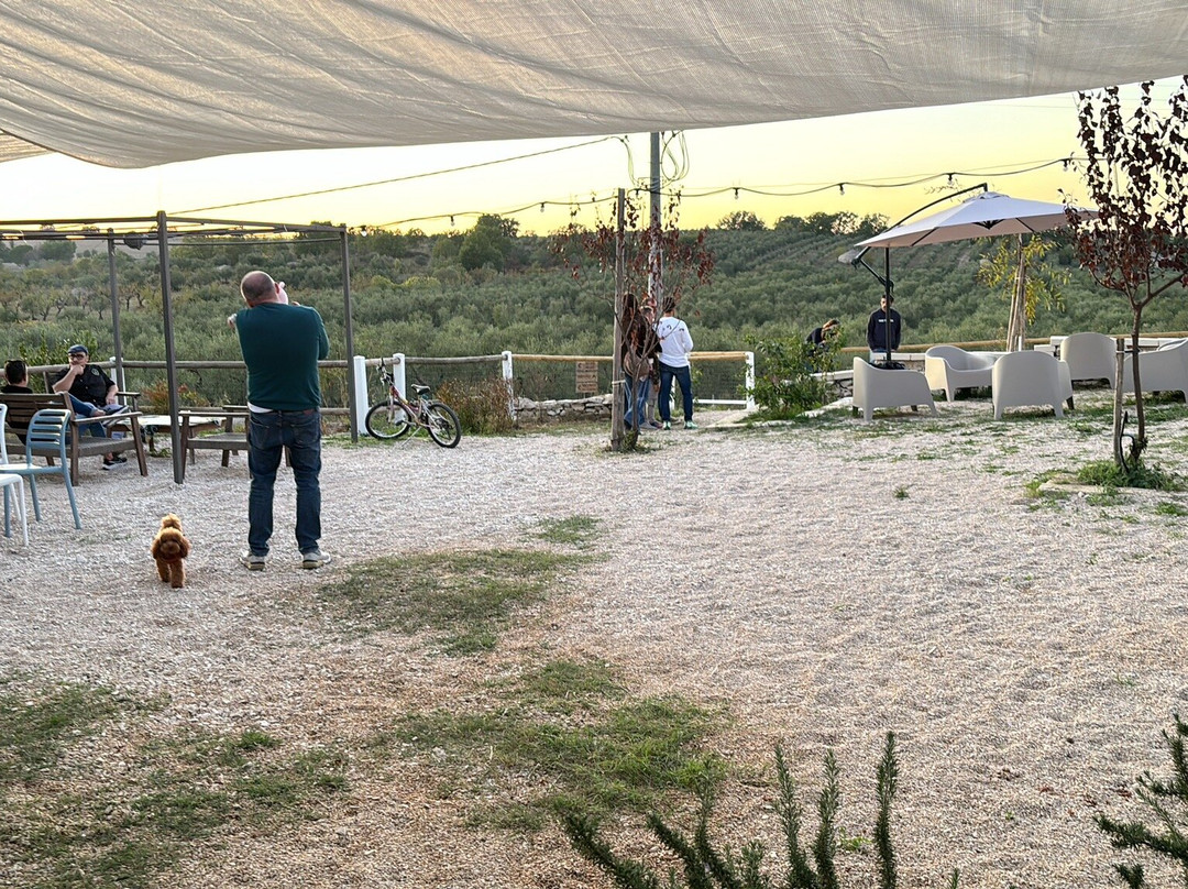 Azienda agricola Cali-安德里亚必去景点