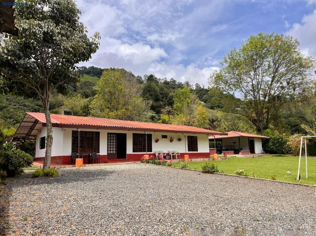 Paraiso Cocora主图