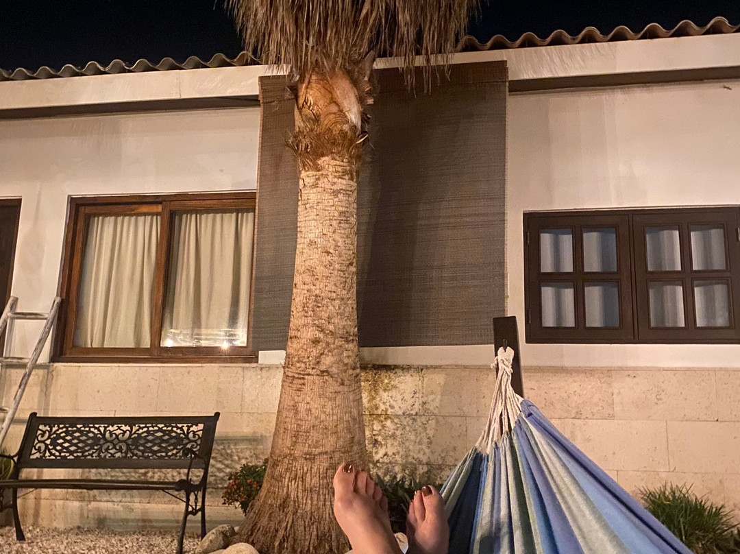 Aruba Lagunita主图