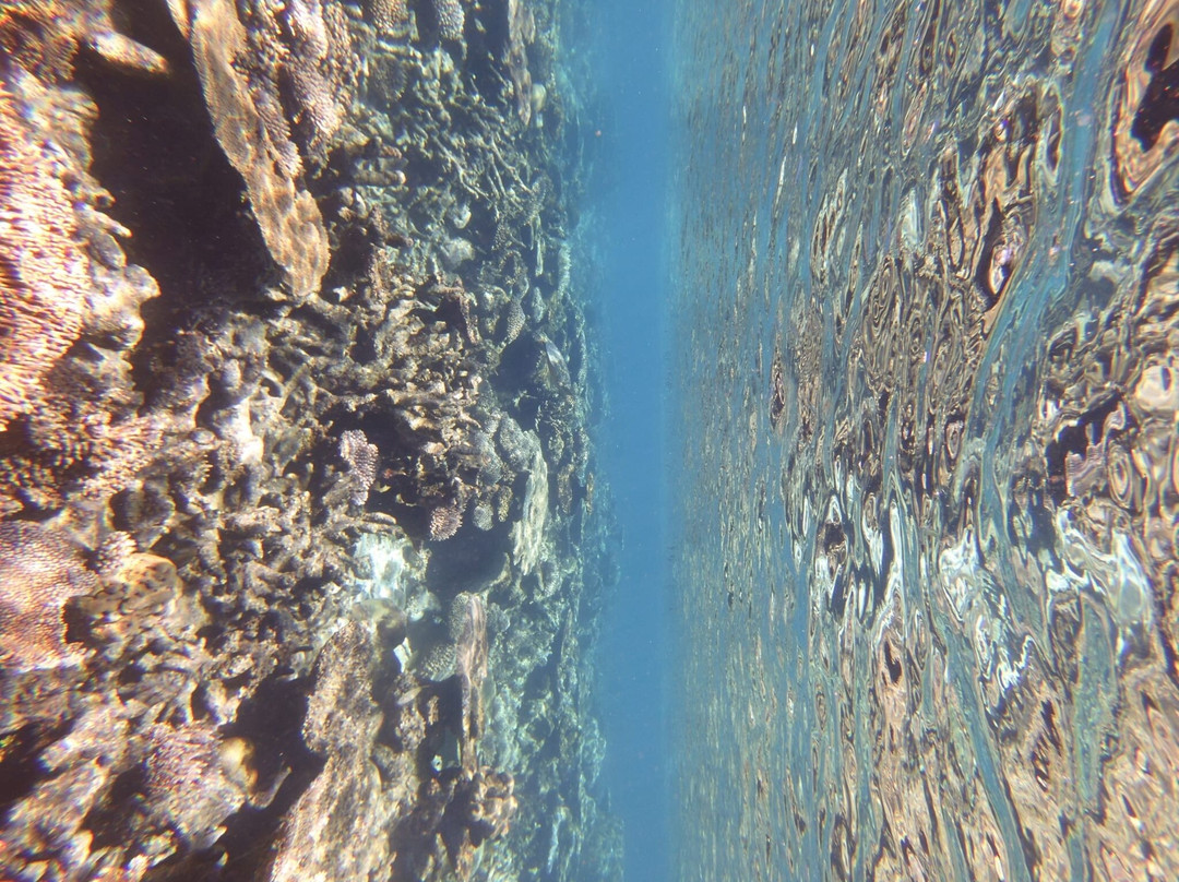 Deep Blue Divers-拉姆环礁必去景点