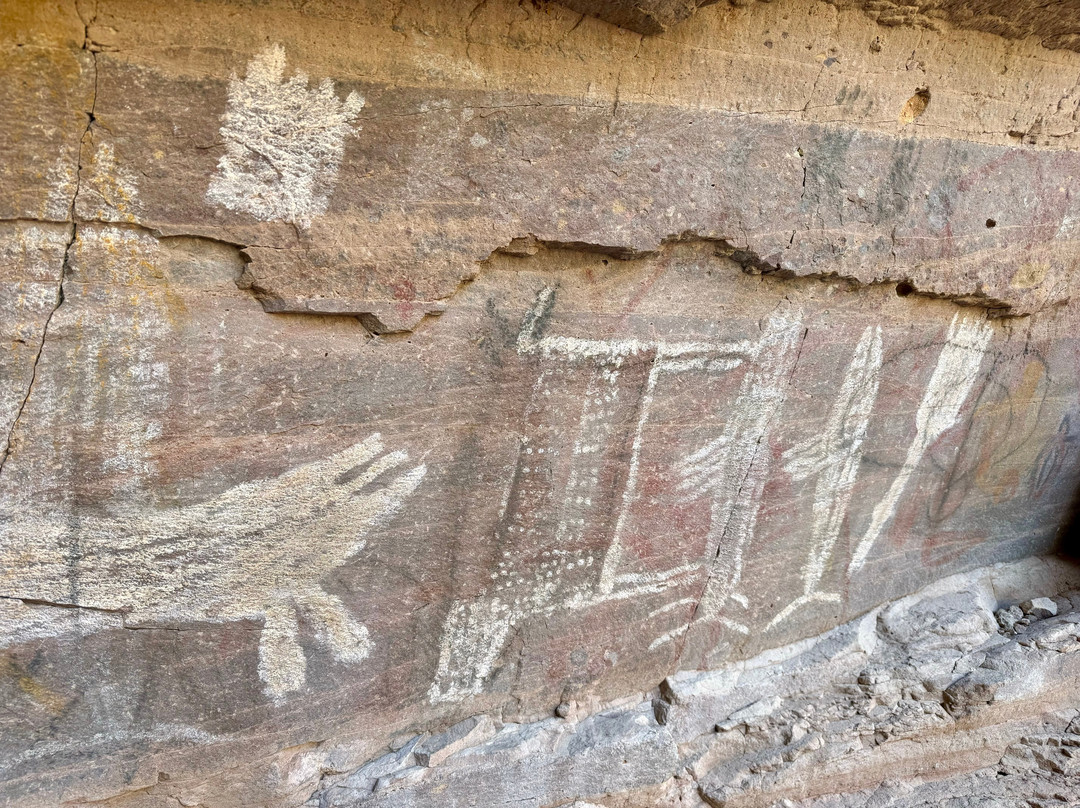 Mulege Tours - Day Tours-Mulege必去景点