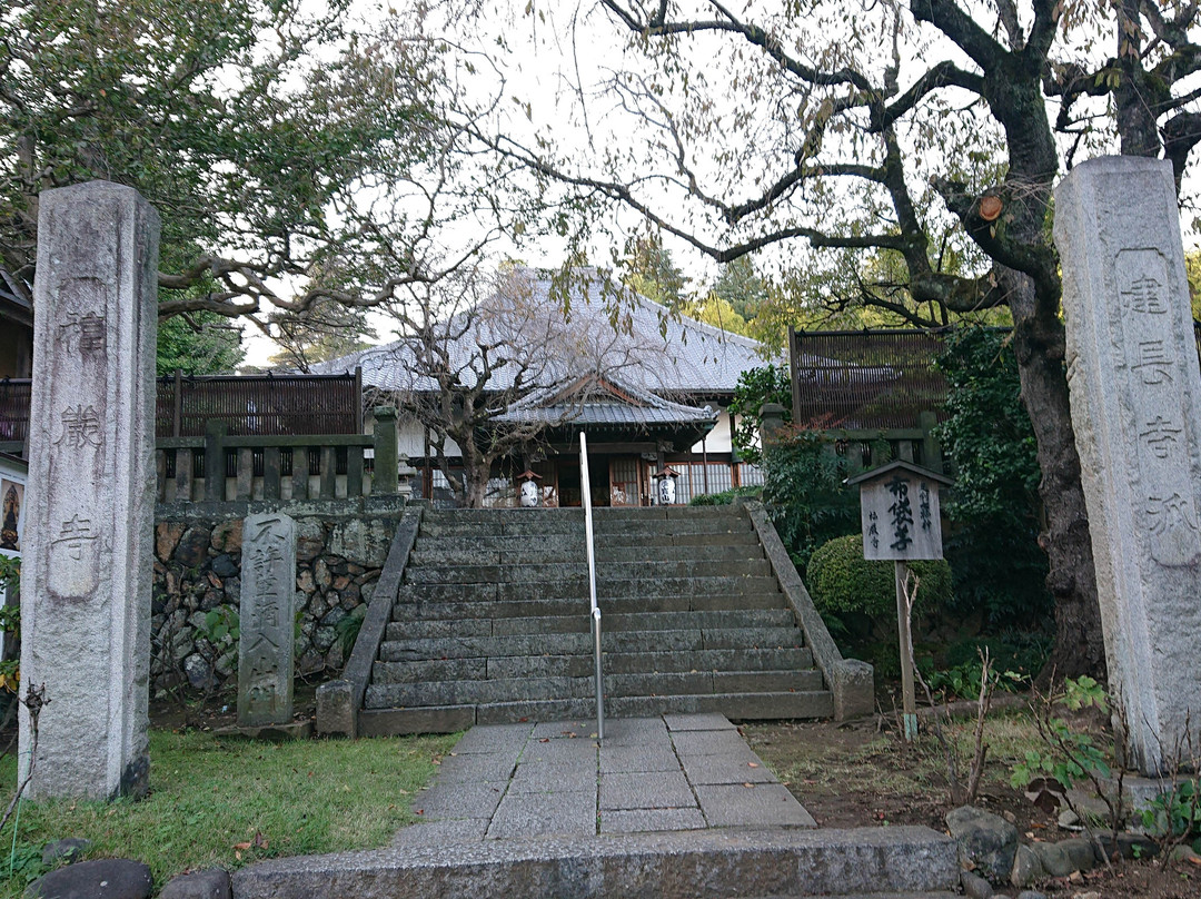 Fukugon-ji Temple-足利市必去景点