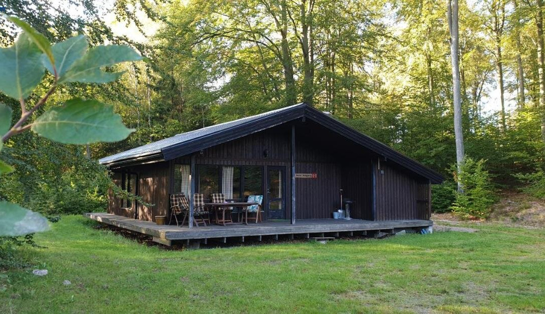 Camp Wild West