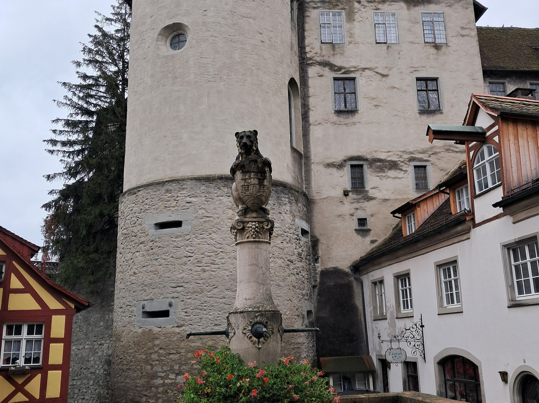 Burg Meersburg景点图片