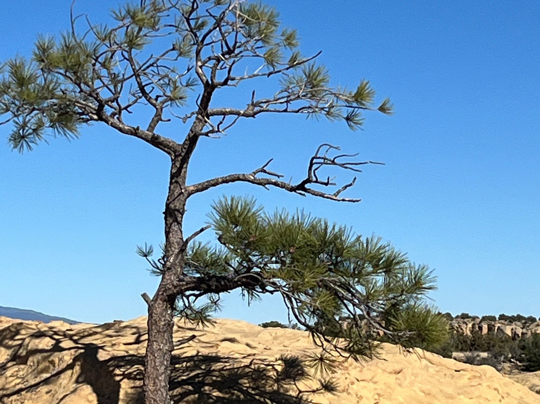 El Malpais National Monument-Grants必去景点