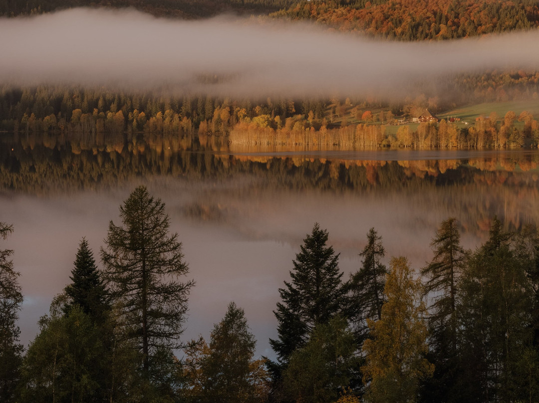 Hotel Auerhahn主图