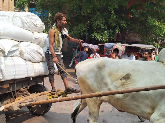 India Tour Specialist-新德里必去景点