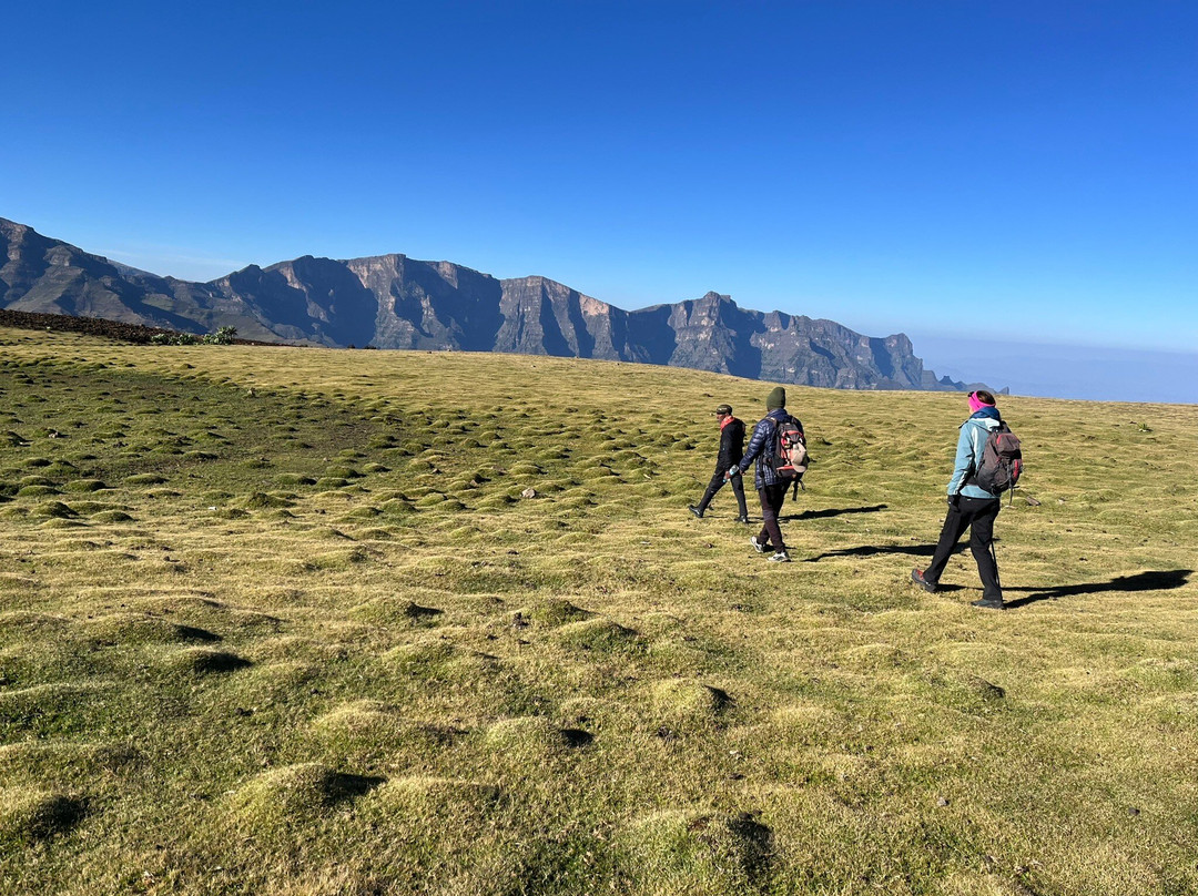 Simien Tops Eco-Trek景点图片