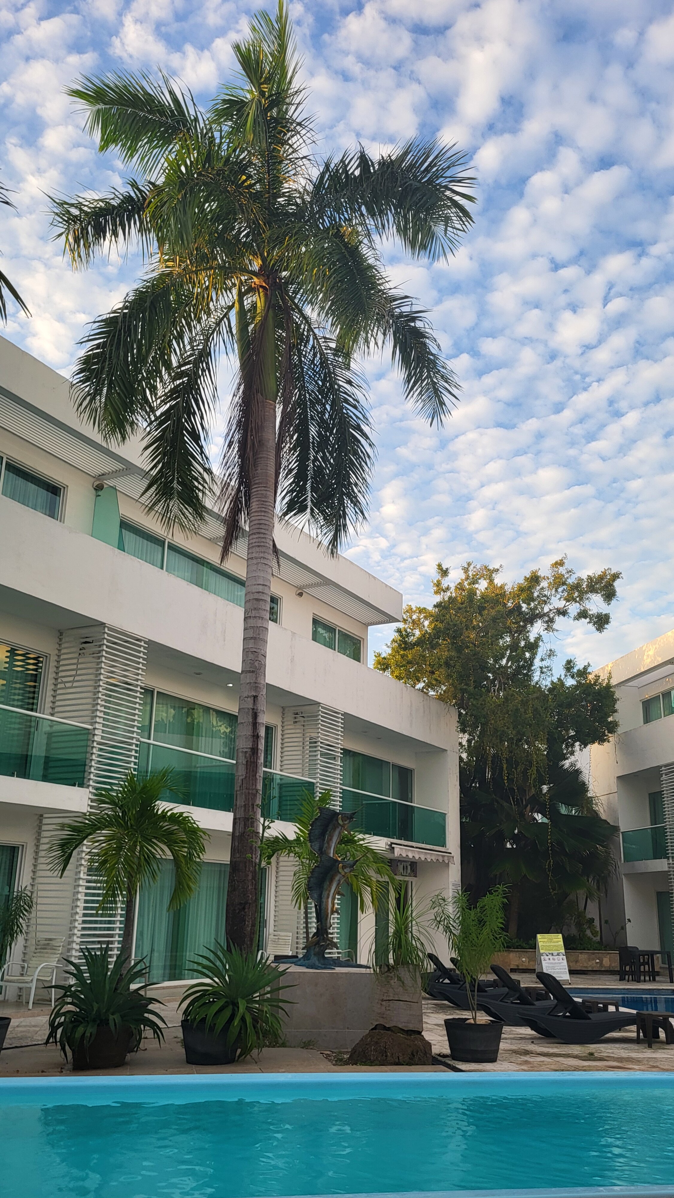 Hotel Los Cocos-官方