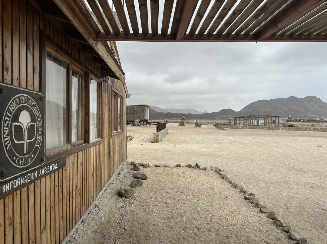 Pan de Azucar National Park-Chanaral必去景点