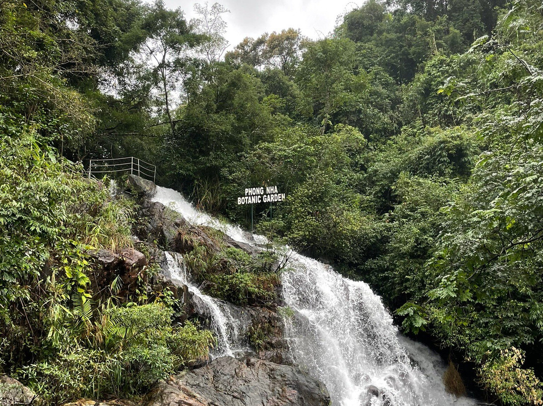 Phong Nha Botanic Garden景点图片