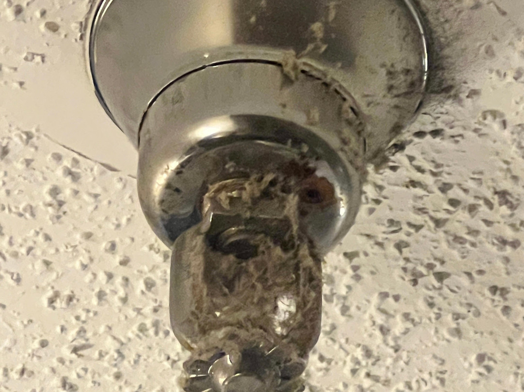 Baymont by Wyndham Logan主图