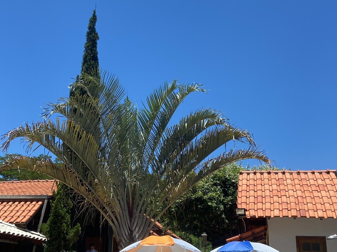Rancho Curuca