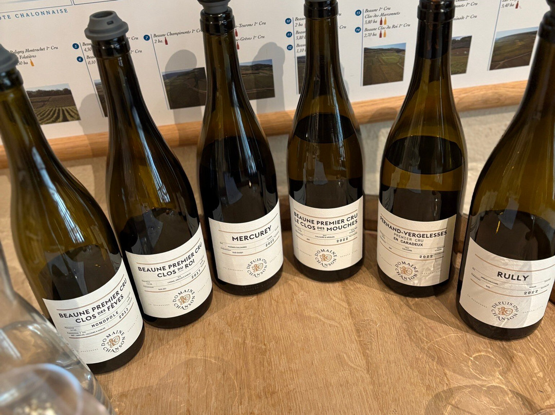 Domaine Chanson Pere & Fils-博讷必去景点