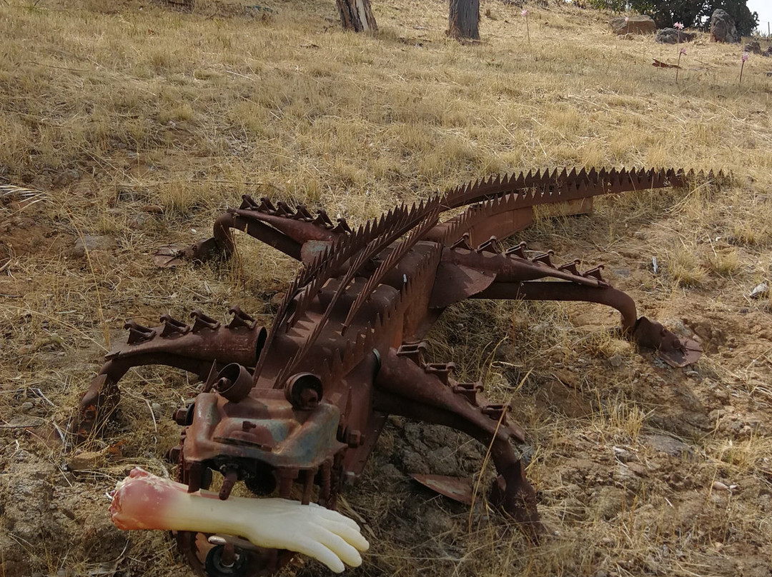 Huon Creek旅游攻略图片