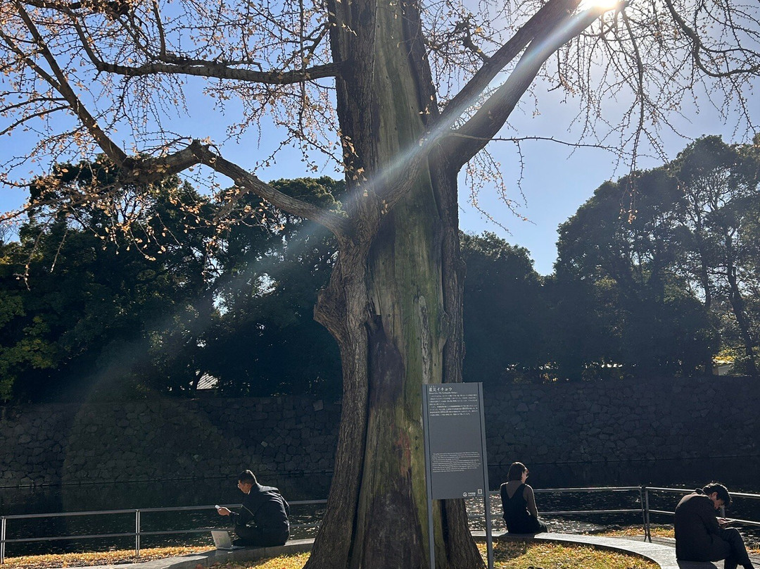 Shinsai Icho-Otemachi必去景点