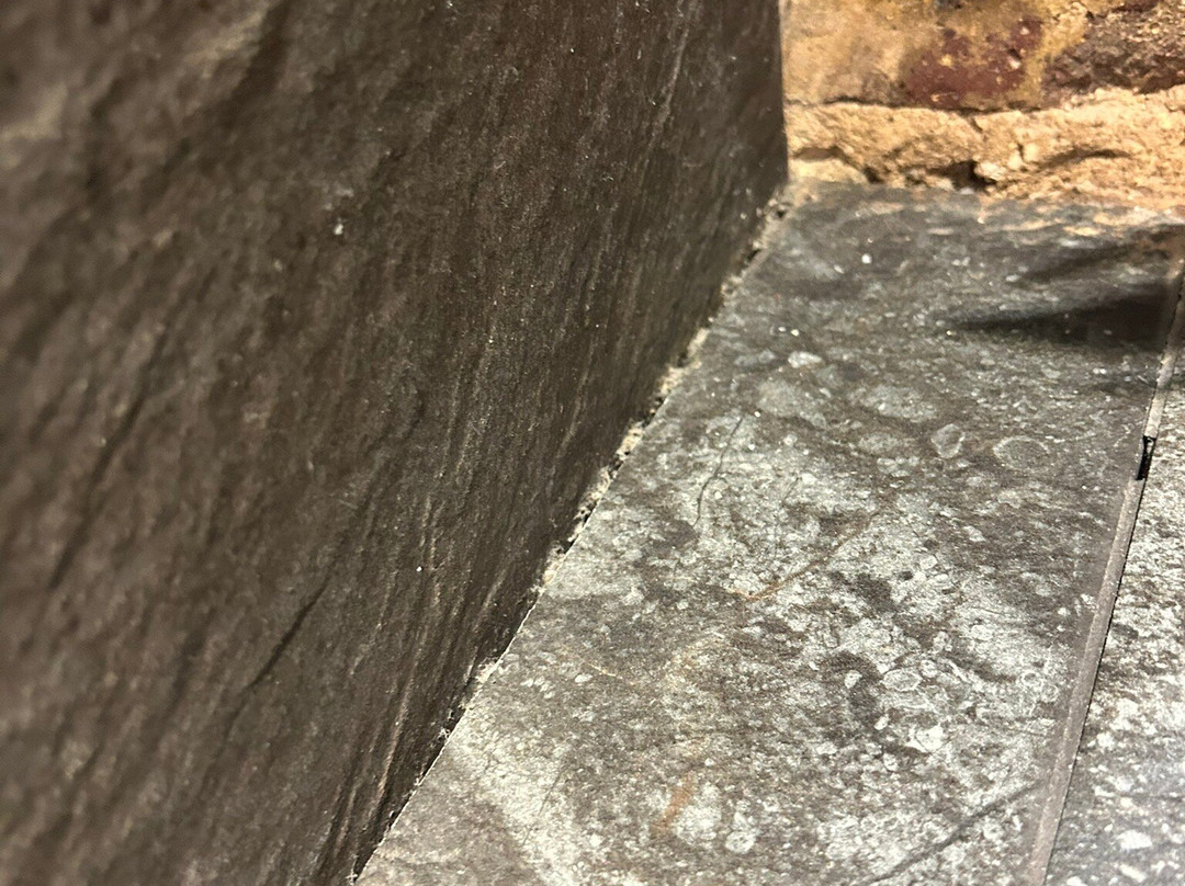 The Foresters Arms主图