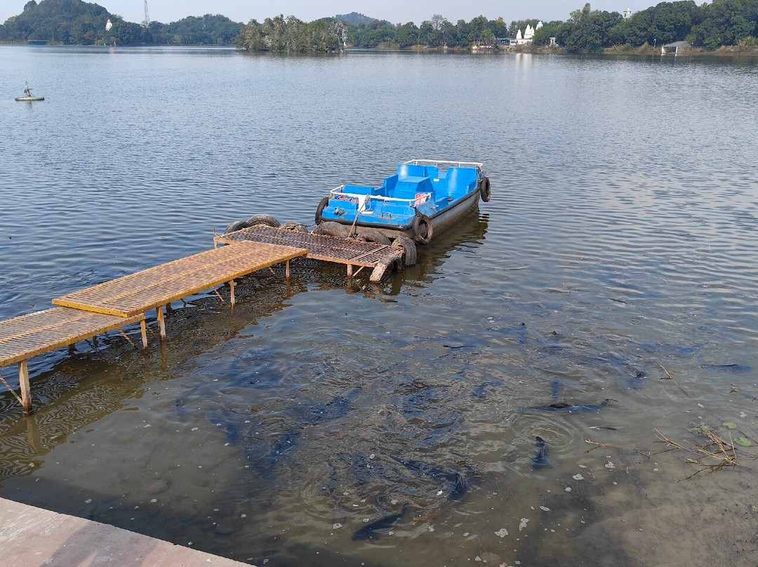 Surinsar Lake景点图片