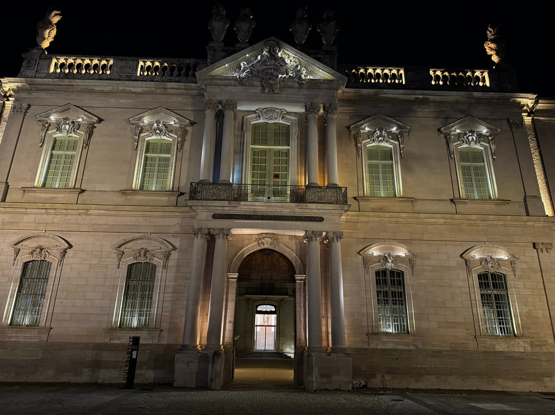 Bibliothèque-Musée Inguimbertine景点图片