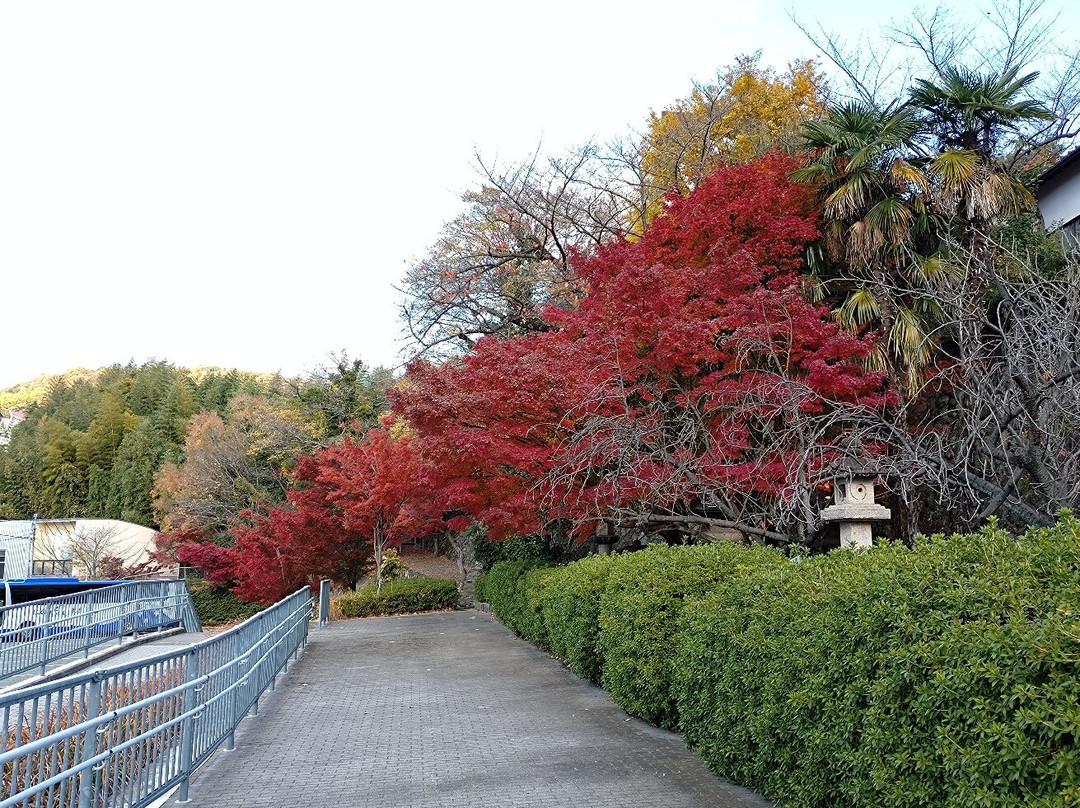 Itsuo Art Museum-池田市必去景点
